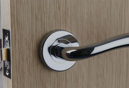 Door Handles, Kickplates (SS)